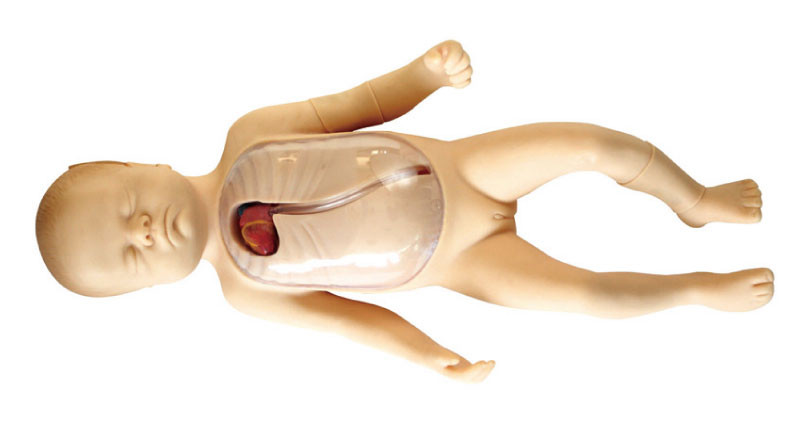 주변으로 삽입된 중앙 카테테르 아이 가장을 가진 신생아 인체 해부 모형